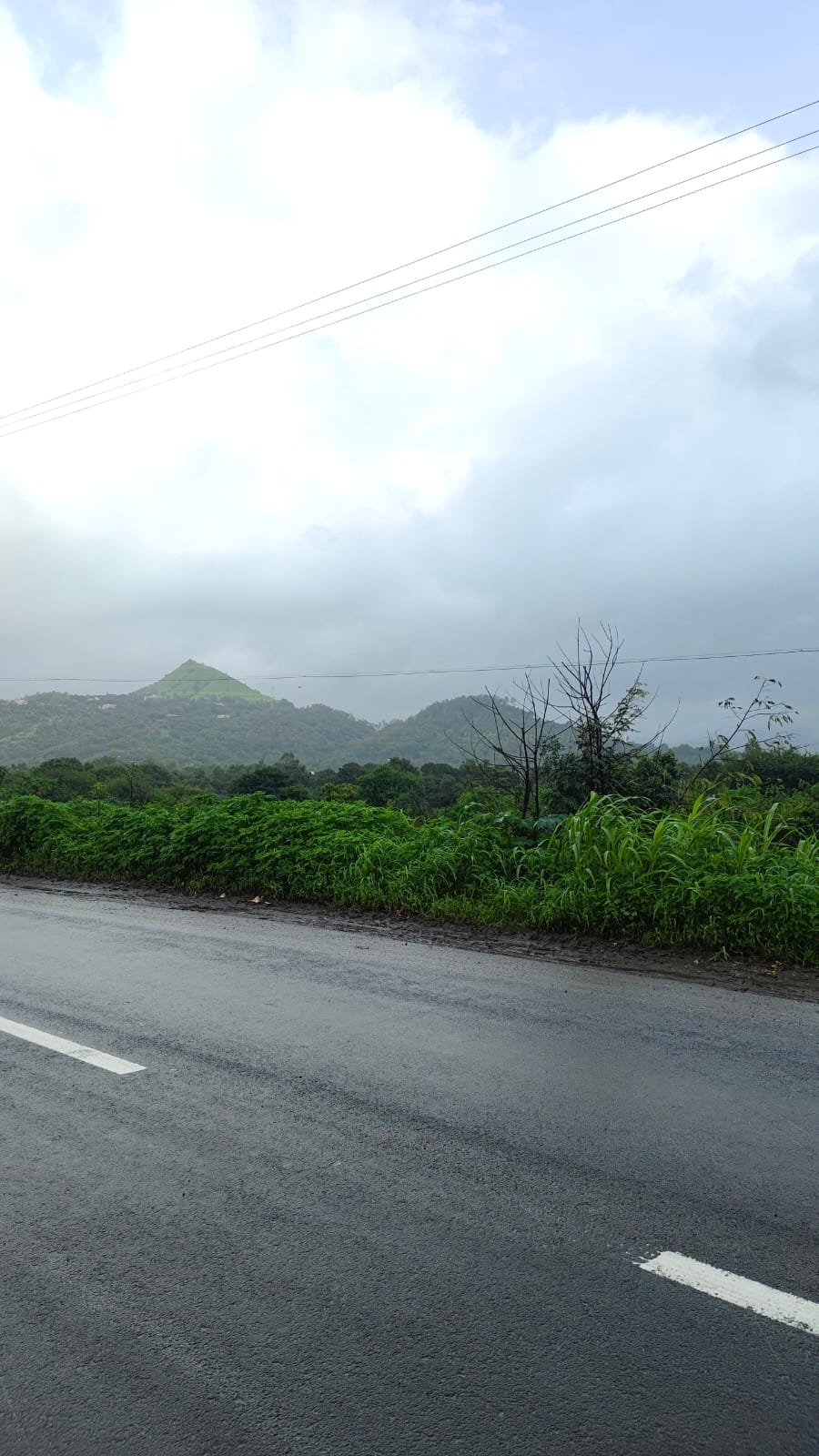 A wet road beneath a cloudy sky with green hills and thick roadside vegetation.